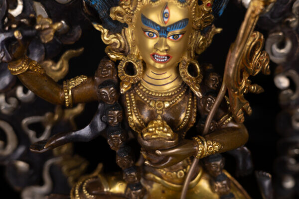 Vajra Barahi | Dorje Phagmo | The Powerful Female Deity - Image 6